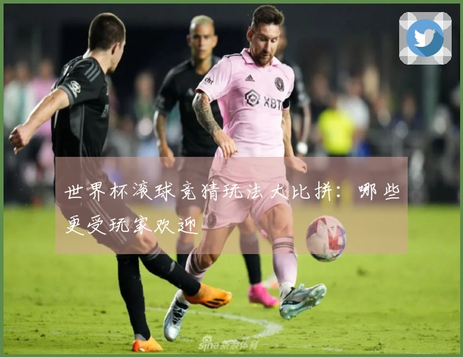 世界杯滚球竞猜玩法大比拼：哪些更受玩家欢迎