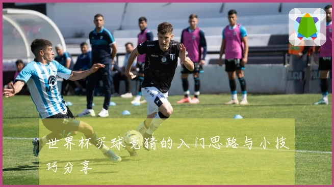 世界杯买球竞猜的入门思路与小技巧分享