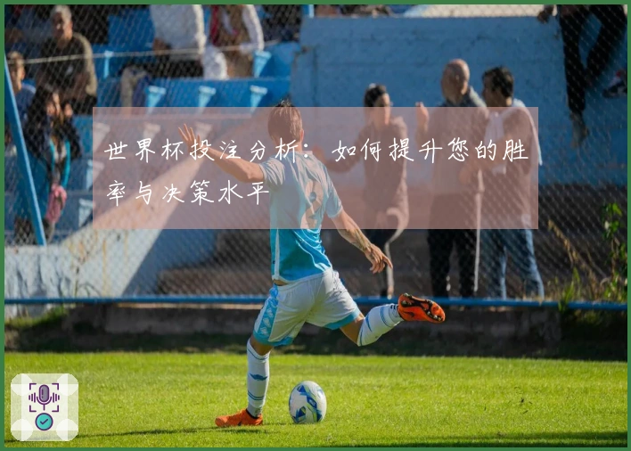 世界杯投注分析：如何提升您的胜率与决策水平