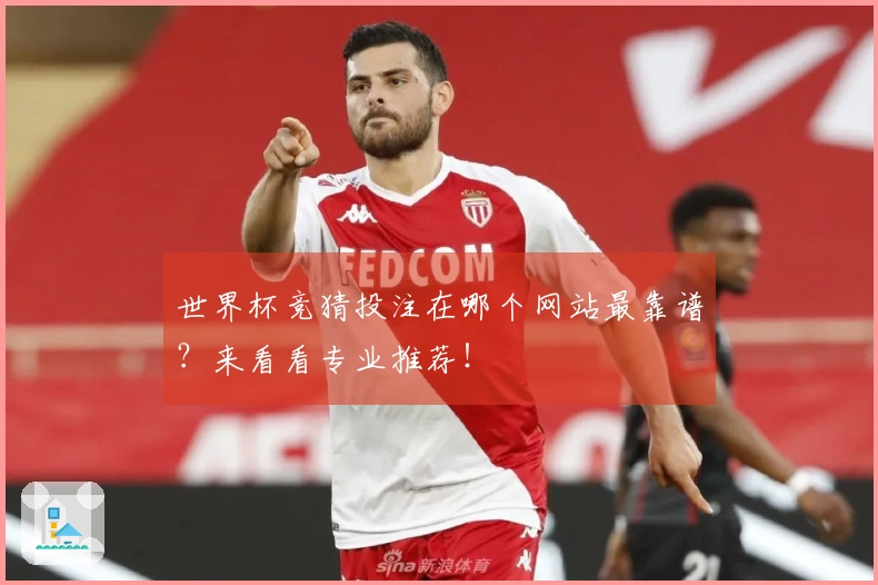 世界杯竞猜投注在哪个网站最靠谱？来看看专业推荐！